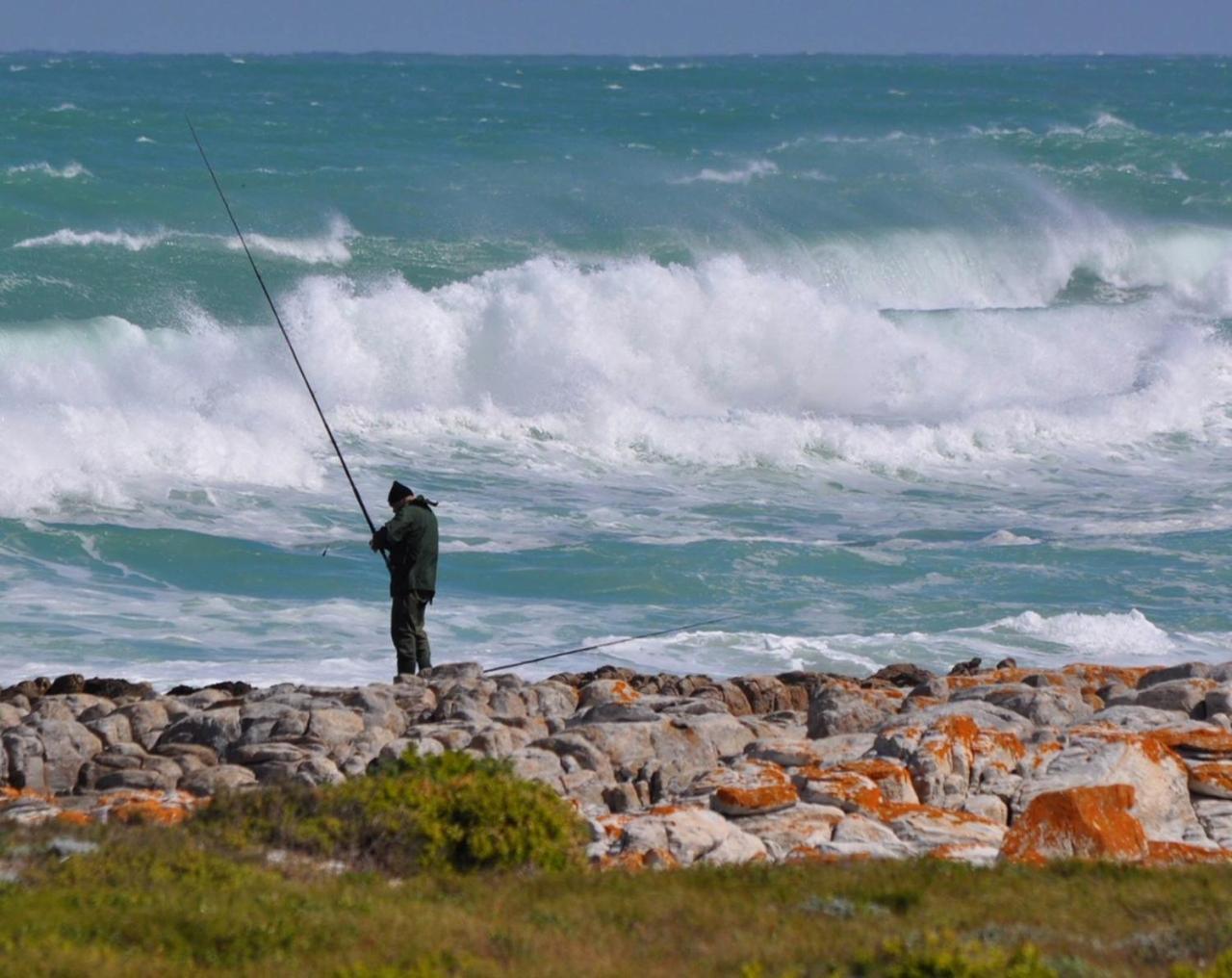 דירות סטראוסבאי 25 The Tides מראה חיצוני תמונה